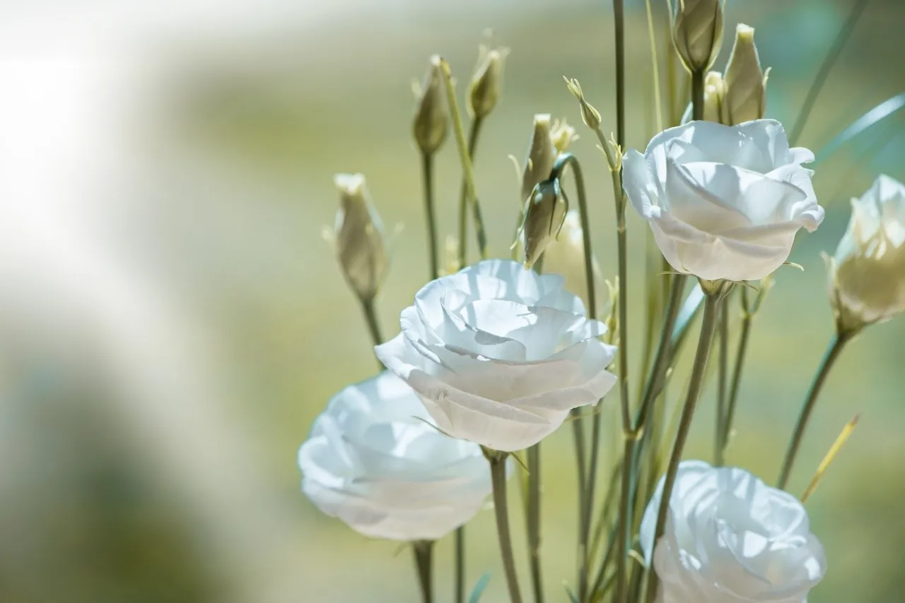 A sírok vágott virággal történő díszítésének szabályai 